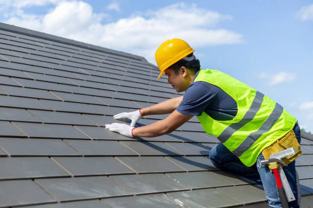 Best Roof Leak Repair  in Audubon, IA