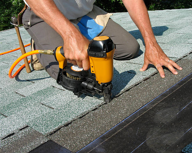 Best Local Roofing Companies  in Audubon, IA