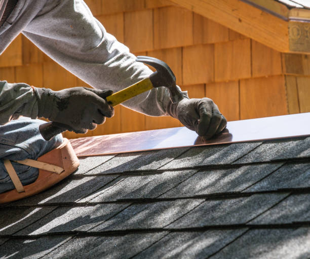 Best Commercial Roofing Services  in Audubon, IA